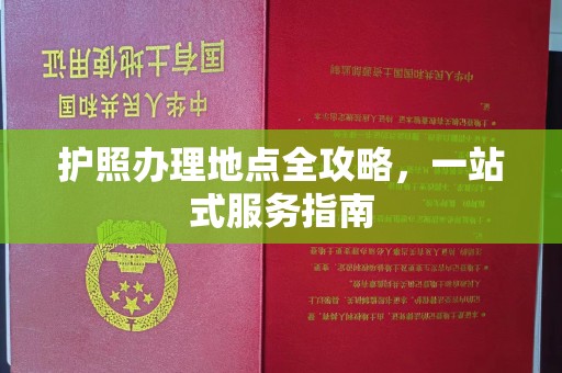 惠州护照办理地点全攻略，一站式服务指南